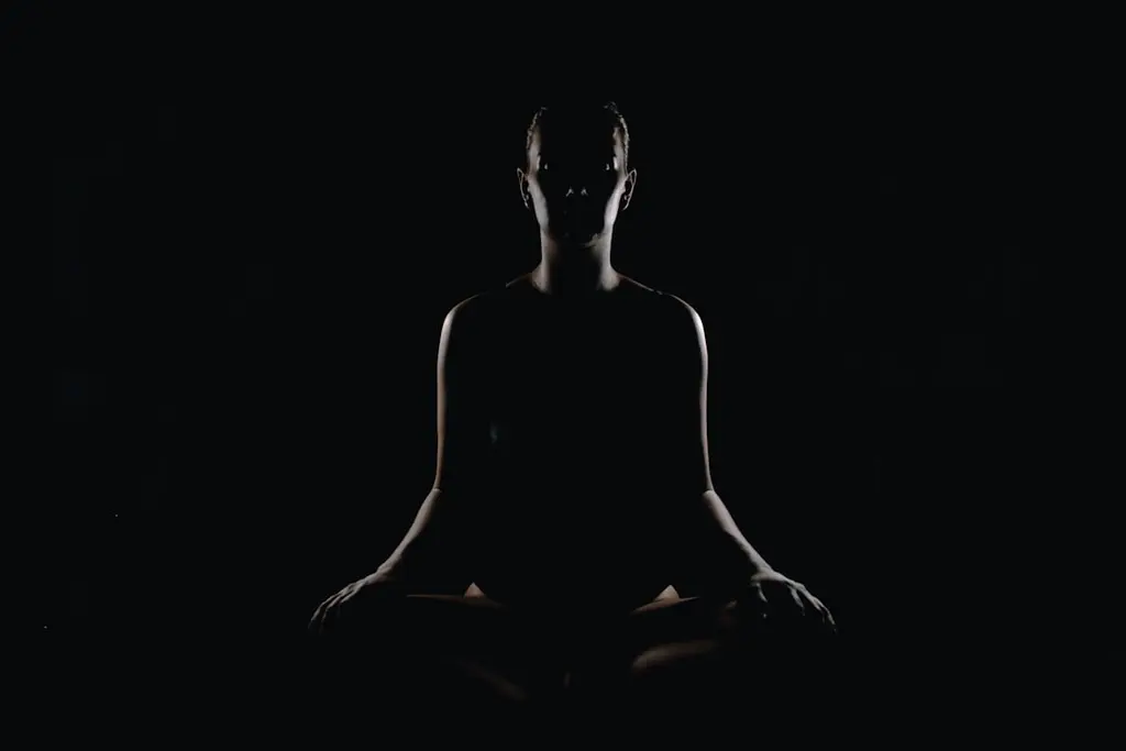 La neurociencia detrás de la meditación